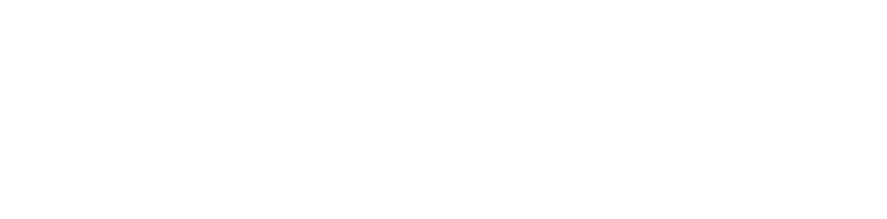 Eidel